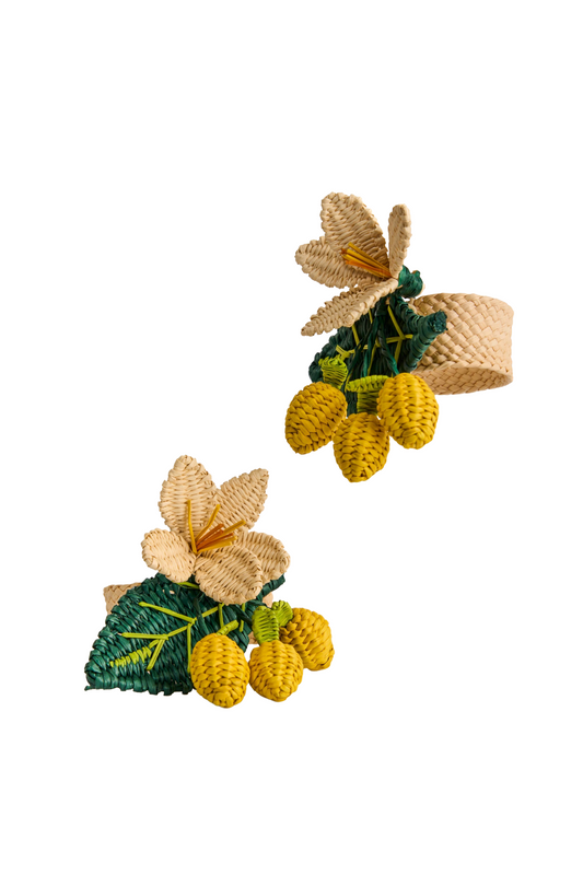 Napkin - Lemon Bunch Napkin Holder-